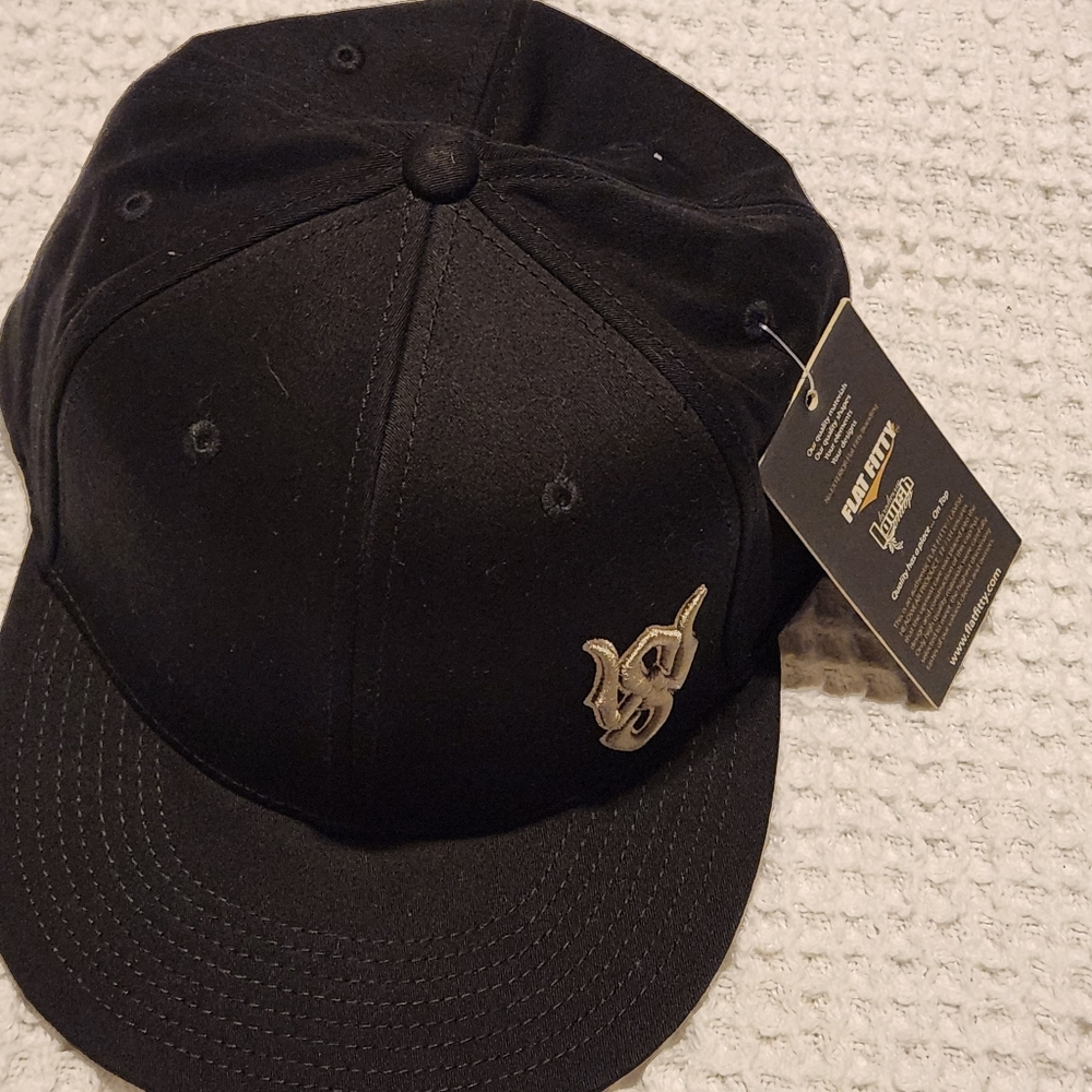 Wasted Space Flat Fitty Hat Size L/XL